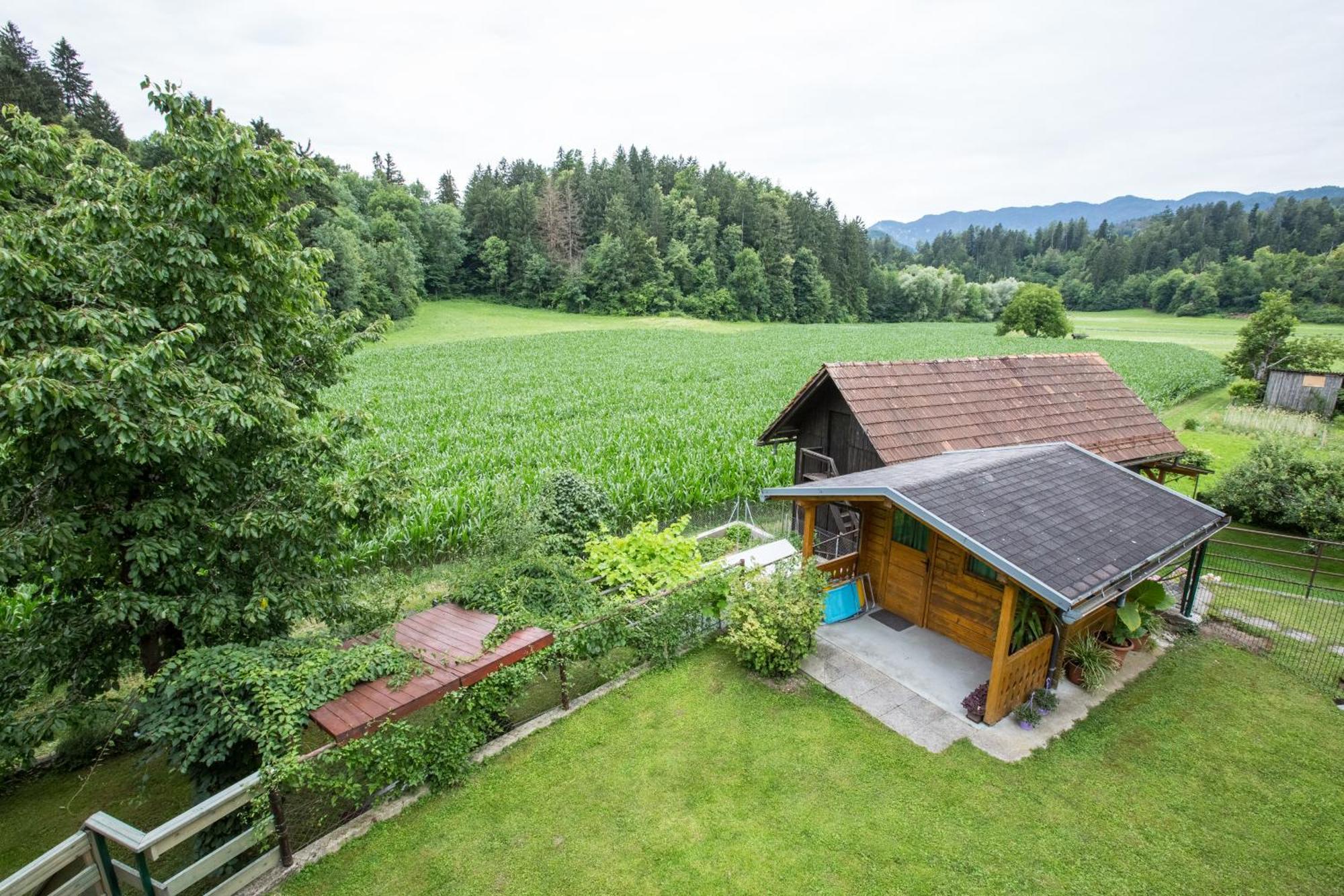 Apartment Ina Bled Zewnętrze zdjęcie