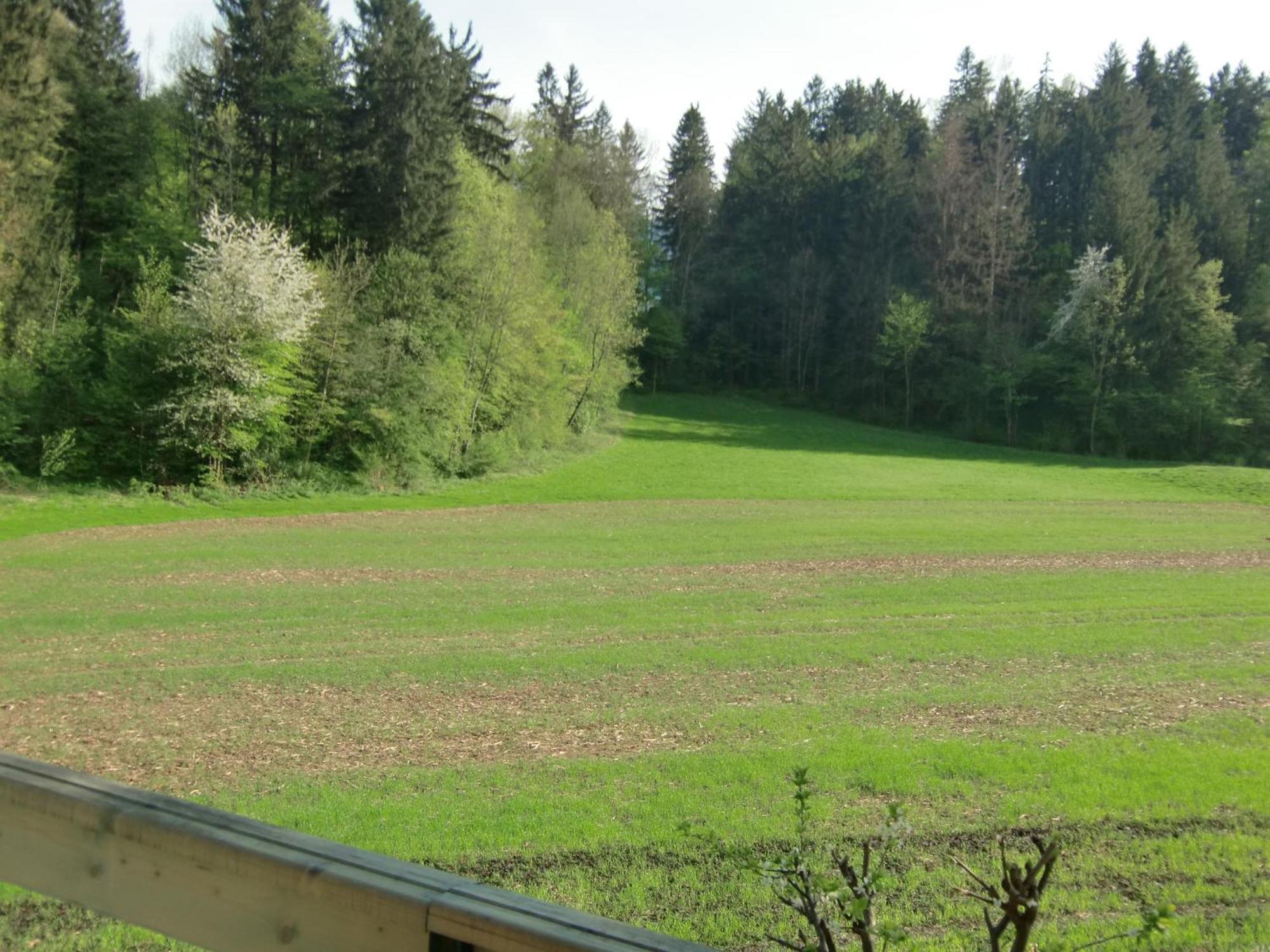 Apartment Ina Bled Zewnętrze zdjęcie